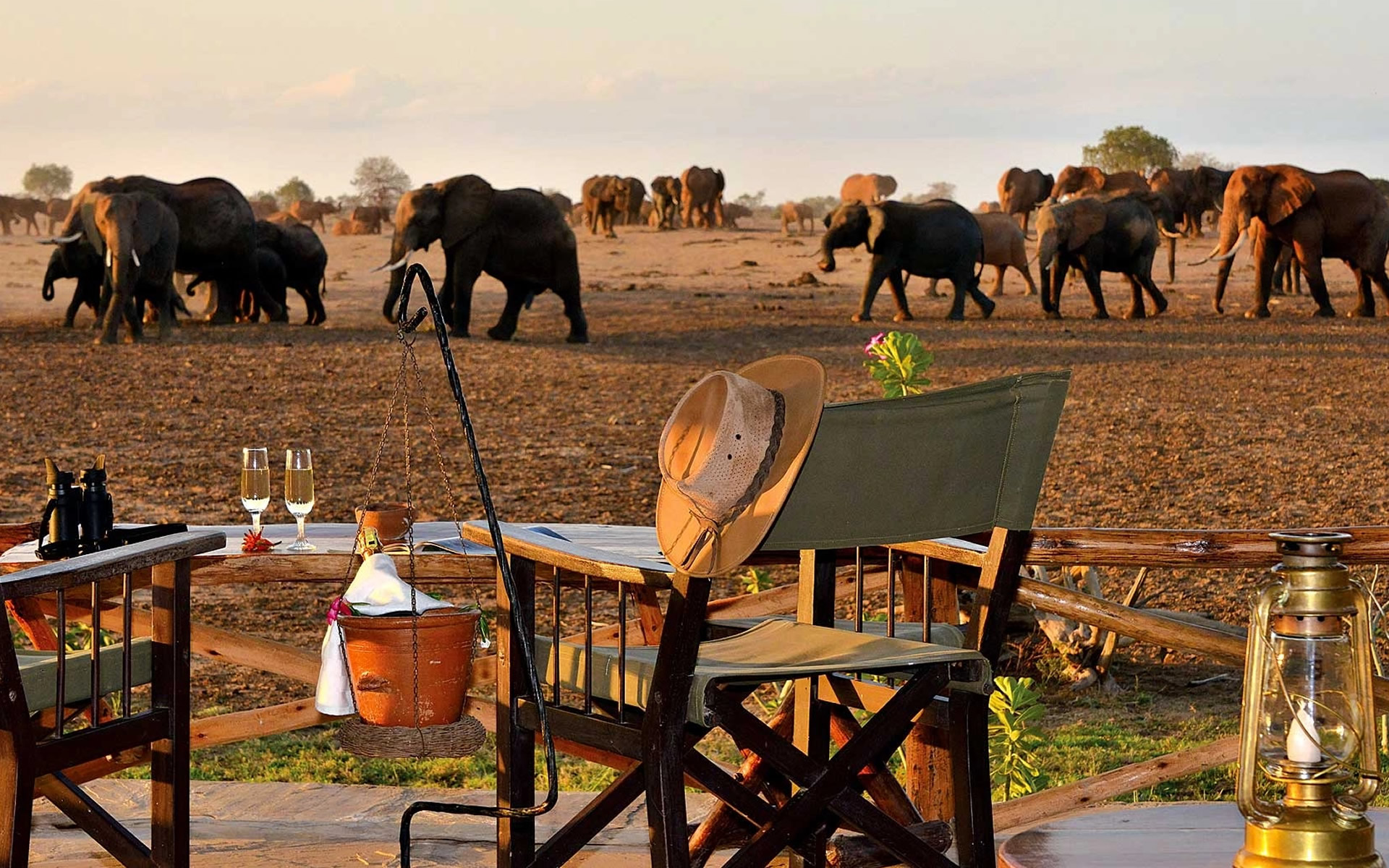 satao camp