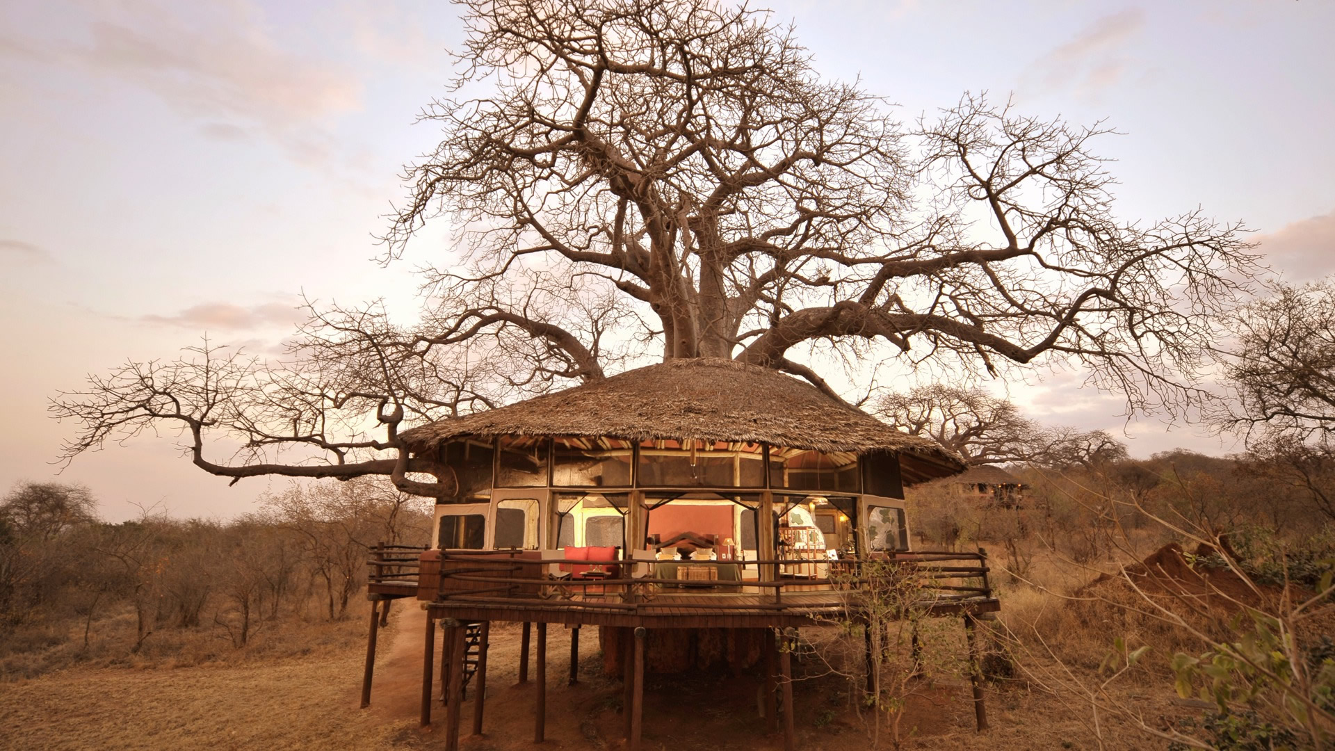 tarangire treetops lodge tarangire treetops lodge