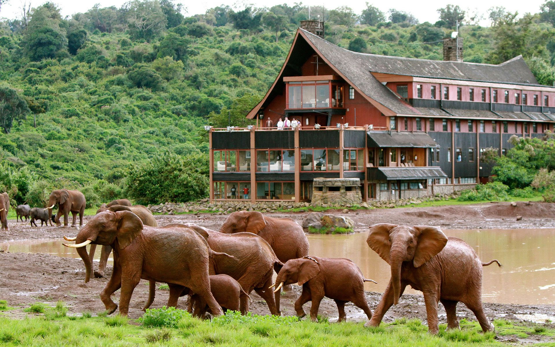 the ark lodge the ark lodge