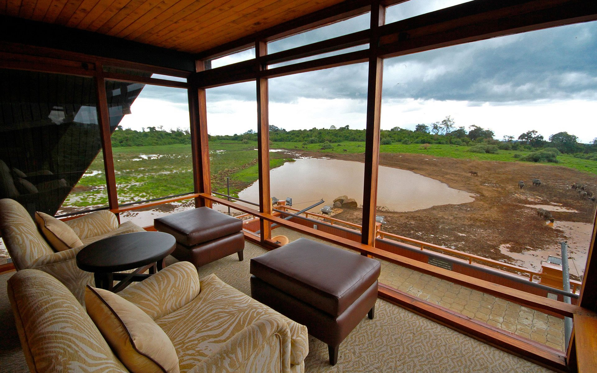 the ark lodge the ark lodge